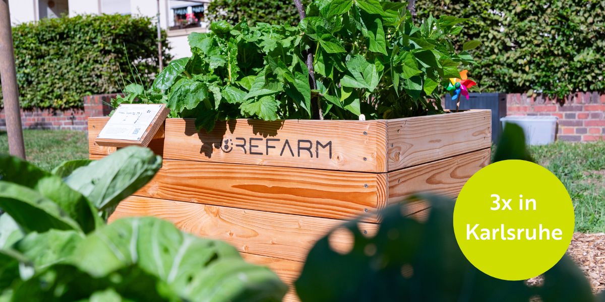 Urban Gardening 3x in Karlsruhe